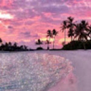 Meet your Posher, Sienna